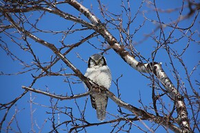 Saltdal Turistsenter - Campground