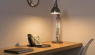 The Bull and The Hide