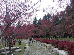 Sun Moon Lake Youngquan Hotels