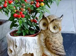 Sun Moon Lake Youngquan Hotels