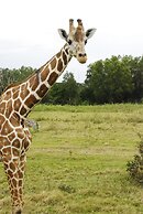 La Estancia Busuanga Resort