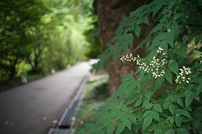 Yuzuya Ryokan Kanazawa Ryokusone