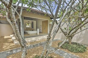 The Frangipani Tree By Edwards Collection