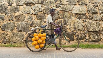 Thambili House By Edwards Collection