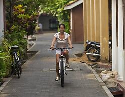 Thambili House By Edwards Collection