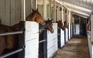 Hill Rise Luxury Villa & Stables by Edwards Collection