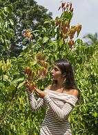 Villa Mayurana By Edwards Collection