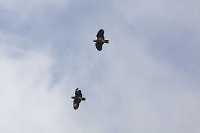 Richmond Vale Diving and Hiking Center - Hostel