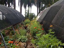 Richmond Vale Diving and Hiking Center - Hostel