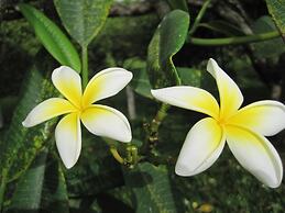 Richmond Vale Diving and Hiking Center - Hostel