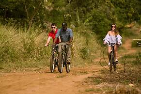 Elephant Trail