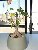 The Hampton Exclusive Guest House