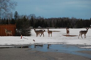 Auberge Motel Godard