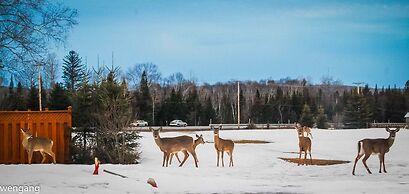 Auberge Motel Godard