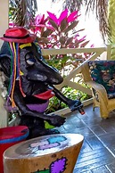 Pousada das Galinhas