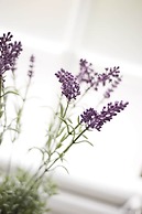 Residence Perseus Apartments