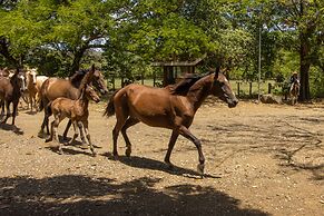 Rancho Humo Estancia