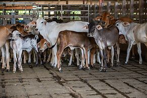 Rancho Humo Estancia