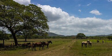 Rancho Humo Estancia