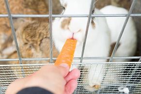 Kensington Resort Gapyeong