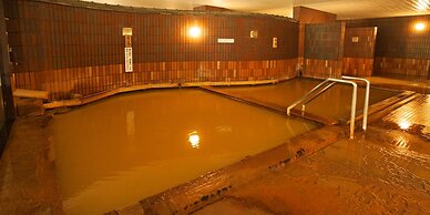Shin Appi Onsen Seiryukaku