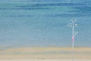 Hello Backpacker Samui Hostel