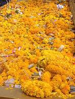 Chatrium Golf Resort Soi Dao Chanthaburi