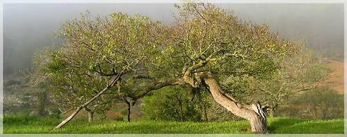 Agroturismo Can Pujolet