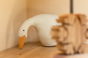 Hotel Les Montagnards