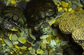 Seasons SPA Boutique Hotel