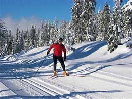 Up The Creek Backpacker's Lodge