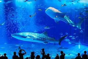 Wisteria Condominium Resort