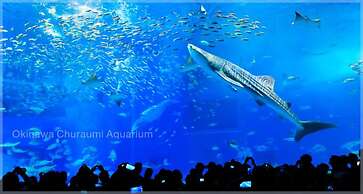 Wisteria Condominium Resort