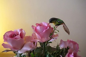 Lotus Suite Hua Hin
