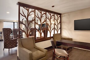 Holiday Inn Chicago - Schaumburg by IHG