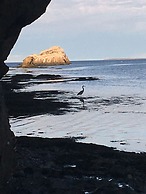 Heron's Nest Cottages