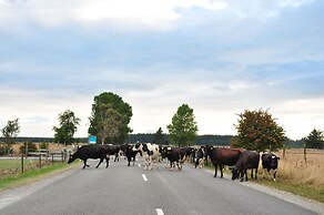 Appleby House & Rabbit Island Huts