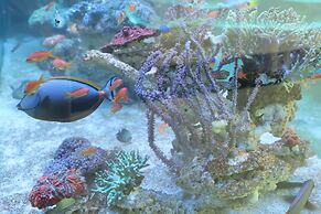 Glacier Hotel Khon Kaen