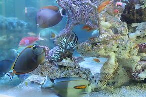 Glacier Hotel Khon Kaen