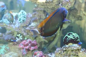 Glacier Hotel Khon Kaen