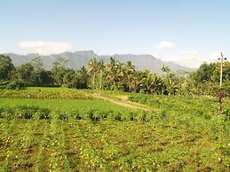 Mettaloka Guest House and Art Space