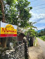 Mettaloka Guest House and Art Space