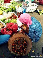 Mettaloka Guest House and Art Space