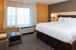 TownePlace Suites Detroit Commerce