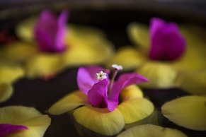 Galaxy Angkor Boutique Hotel