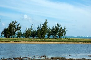 Reve des Iles