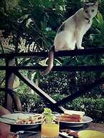 Baan Rim Klong Resort