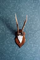 Åre Bed & Breakfast