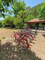Canada Hotel & Bungalows