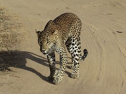 Thaulle Pure Ayurveda Resort - Yala